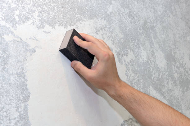 Best Post-Construction Mold Inspection  in Allardt, TN
