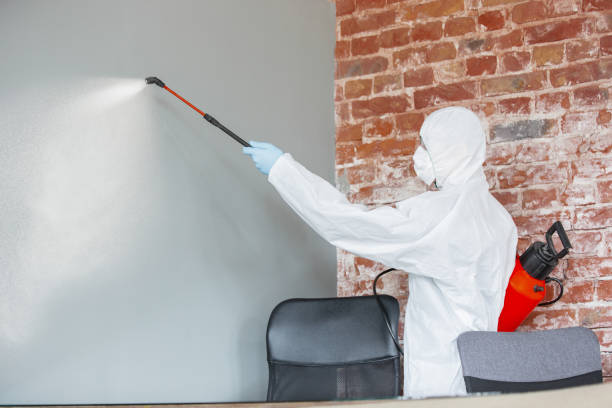 Best Mold Prevention Services  in Allardt, TN