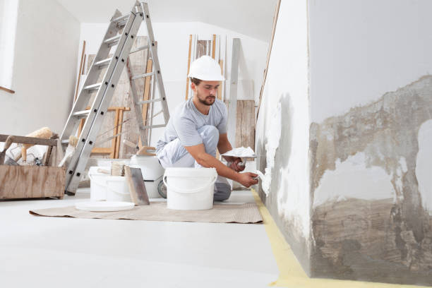 Forensic Mold Investigation in Allardt, TN