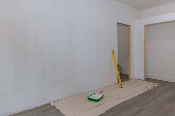 Best Attic Mold Removal  in Allardt, TN