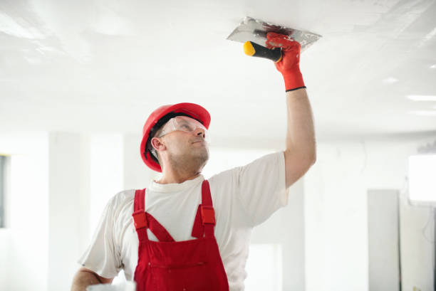 Best Attic Mold Removal  in Allardt, TN