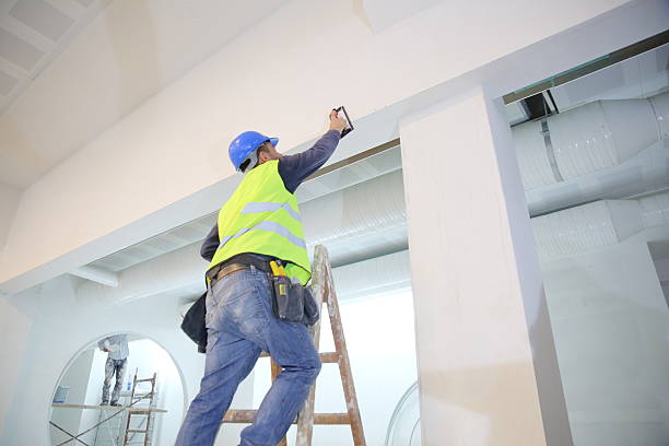 Best Black Mold Removal  in Allardt, TN